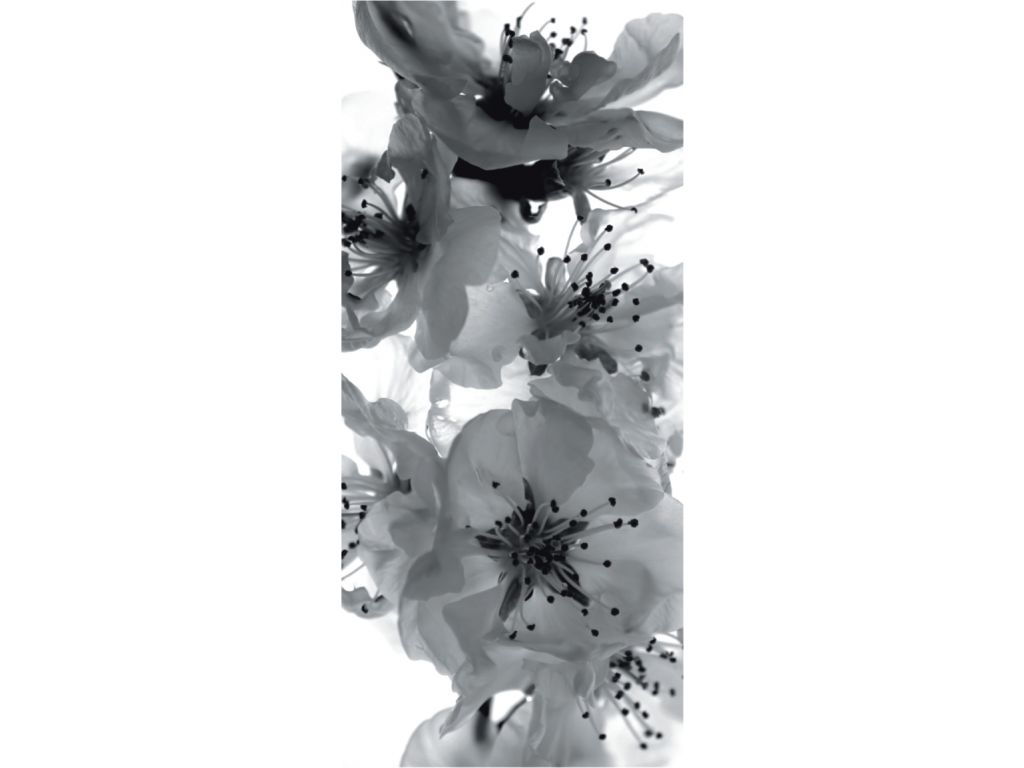Vliesová fototapeta AG Design FTN V 2863 Černobílá květina 90 x 202 cm