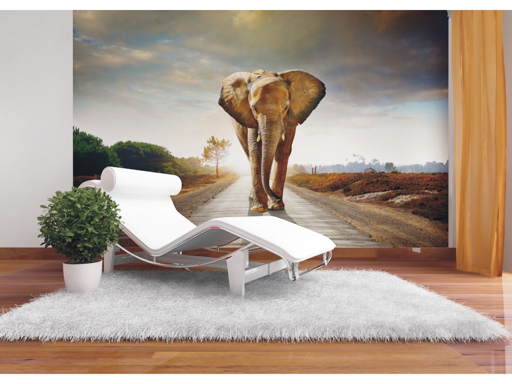 Fototapeta vliesová Velký slon 360 x 270 cm