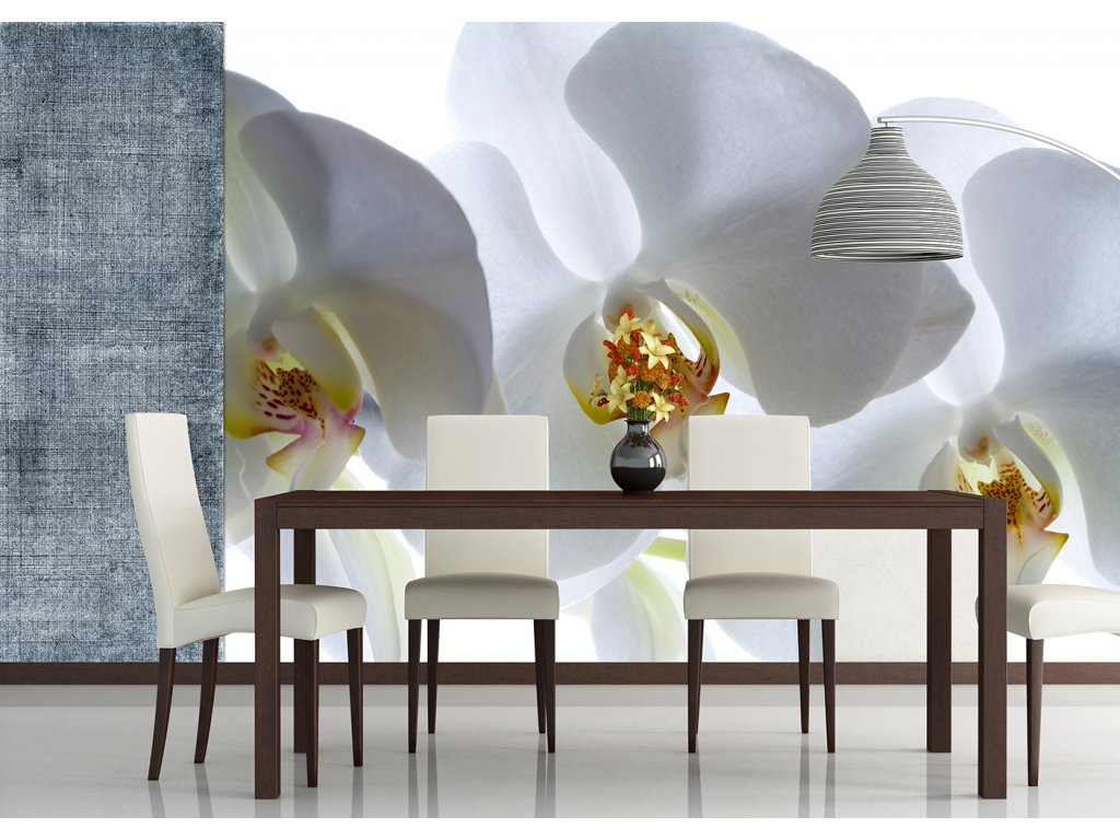 Vliesová fototapeta AG Design FTN XXL 0466 Bílá orchidej 360 x 270 cm
