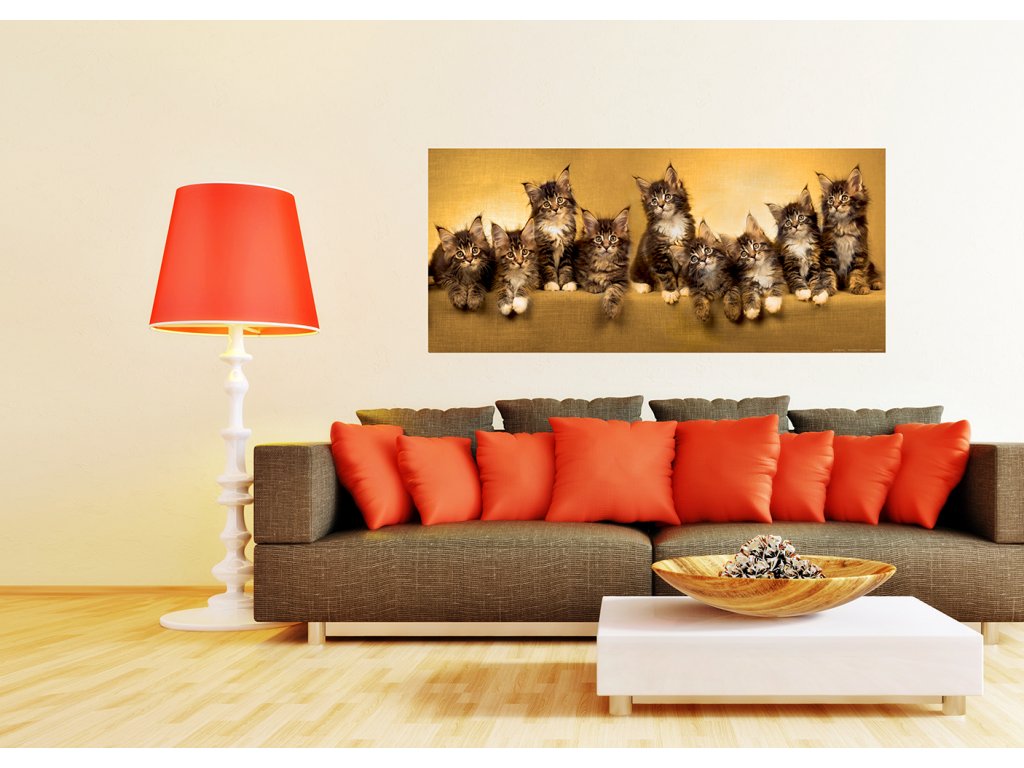 Fototapeta vliesová Kočky 202 x 90 cm