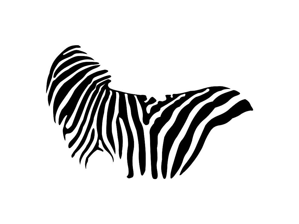 Samolepka na zeď Zebra pruhy