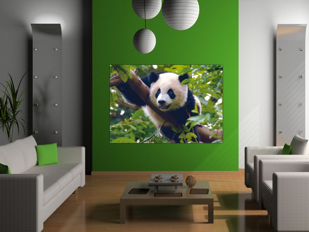 Fototapeta vliesová Panda 160 x 110 cm