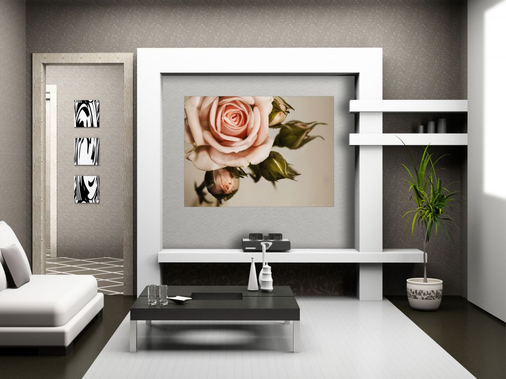 Fototapeta vliesová Růžová růže 160 x 110 cm