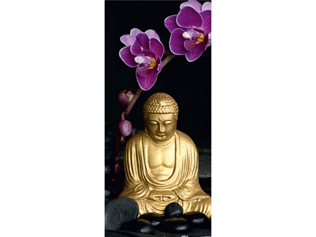 Fototapeta vliesová Buddha 90 x 202 cm