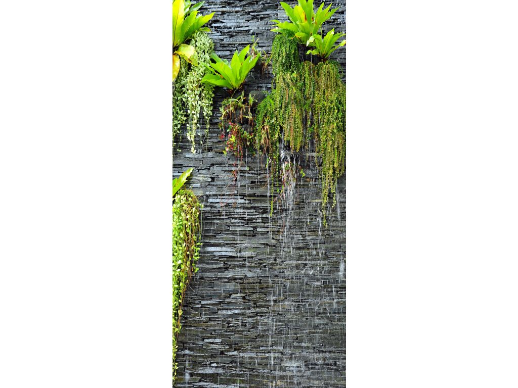 Fototapeta vliesová Zeleň na stěně 90 x 202 cm