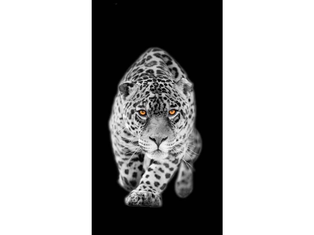 Foto závěs Leopard 140 x 245 cm, úplné zastínění