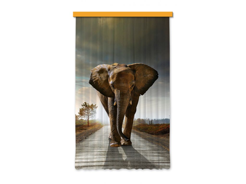 Foto závěs Slon 140 x 245 cm, úplné zastínění