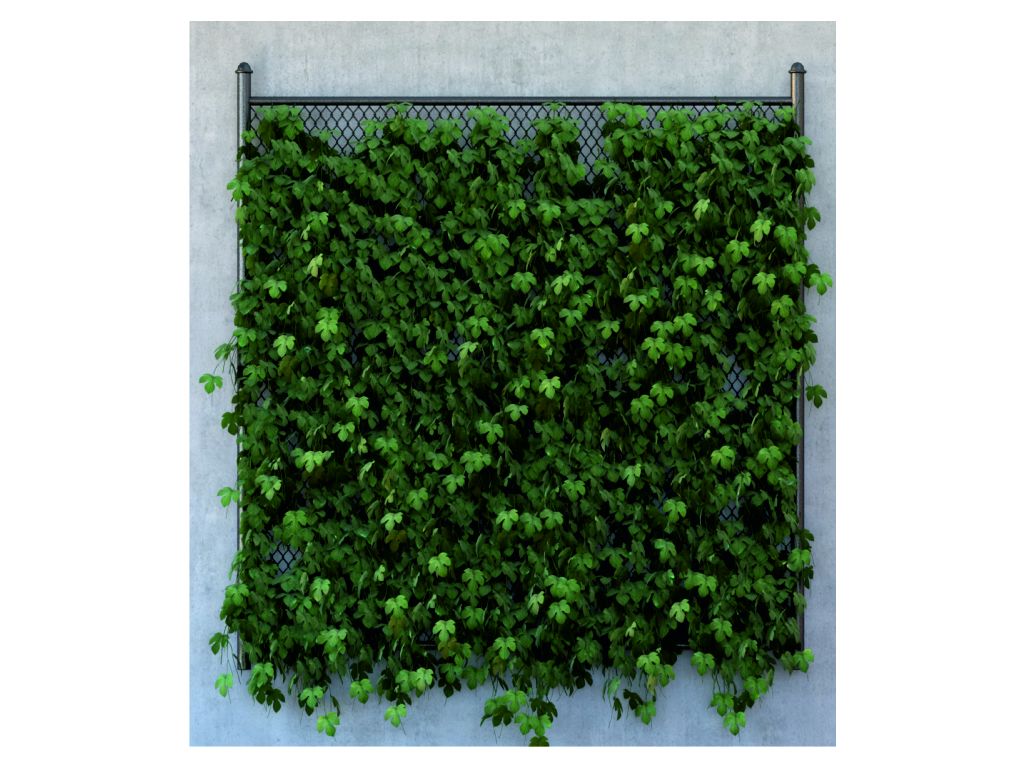 Fototapeta vliesová Zelené listy 180 x 202 cm