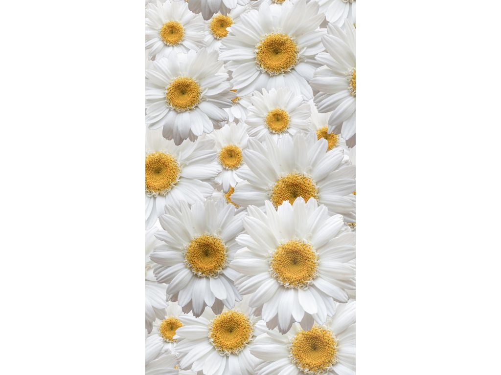 Foto závěs Květiny 140 x 245 cm, úplné zastínění