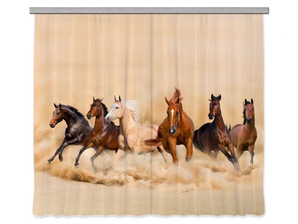Foto závěs Stádo Koní 280 x 245 cm, lehké zastínění