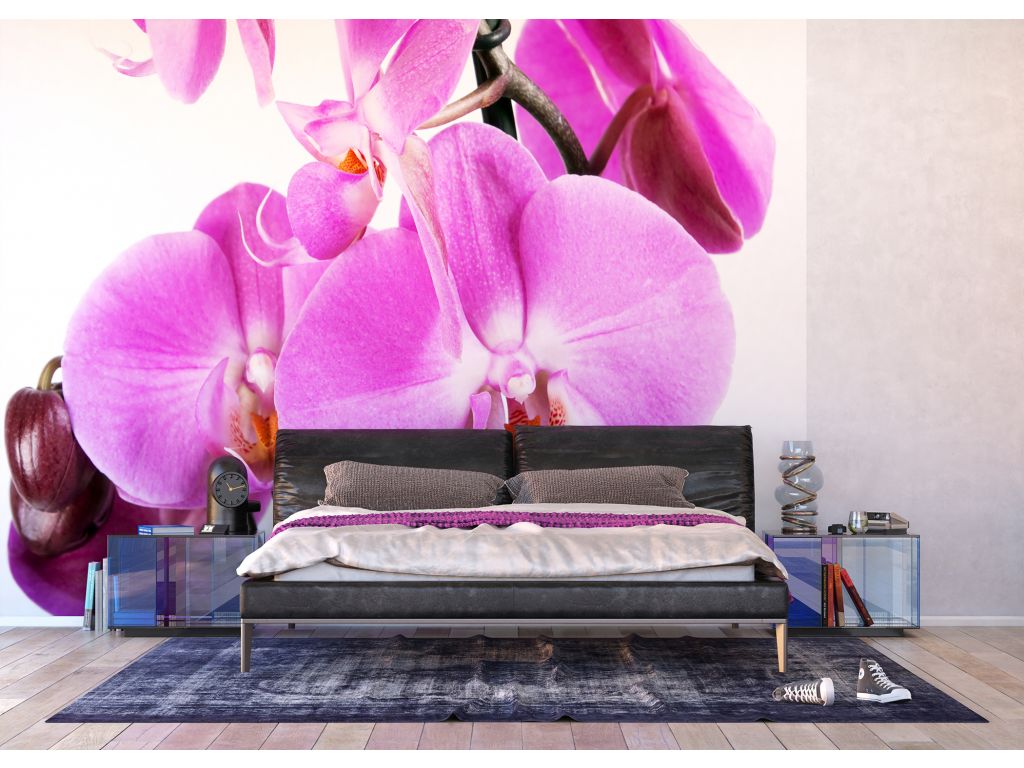 Fototapeta AG Design FTS 0049 Fialová orchidej 360 x 254 cm