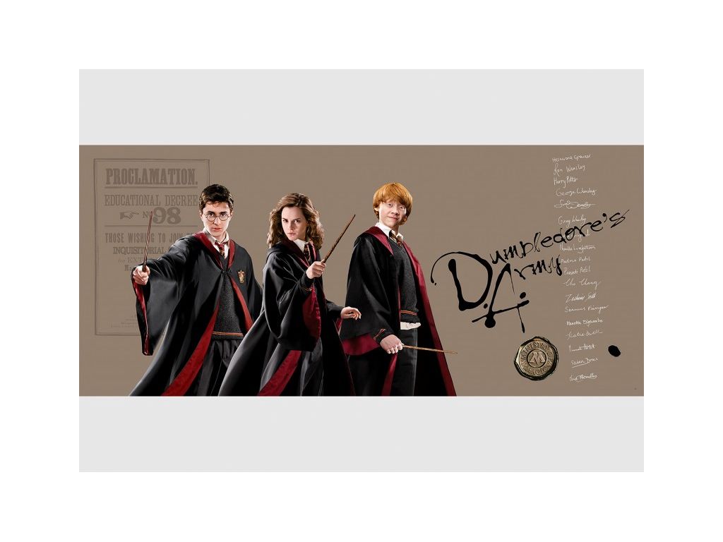 Dětská vliesová fototapeta AG Design FTDH 979 Harry Potter 170 x 75 cm
