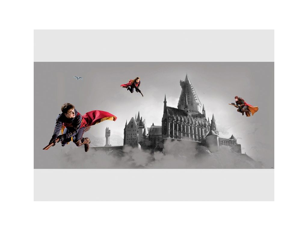 Dětská vliesová fototapeta AG Design FTDH 980 Harry Potter 170 x 75 cm