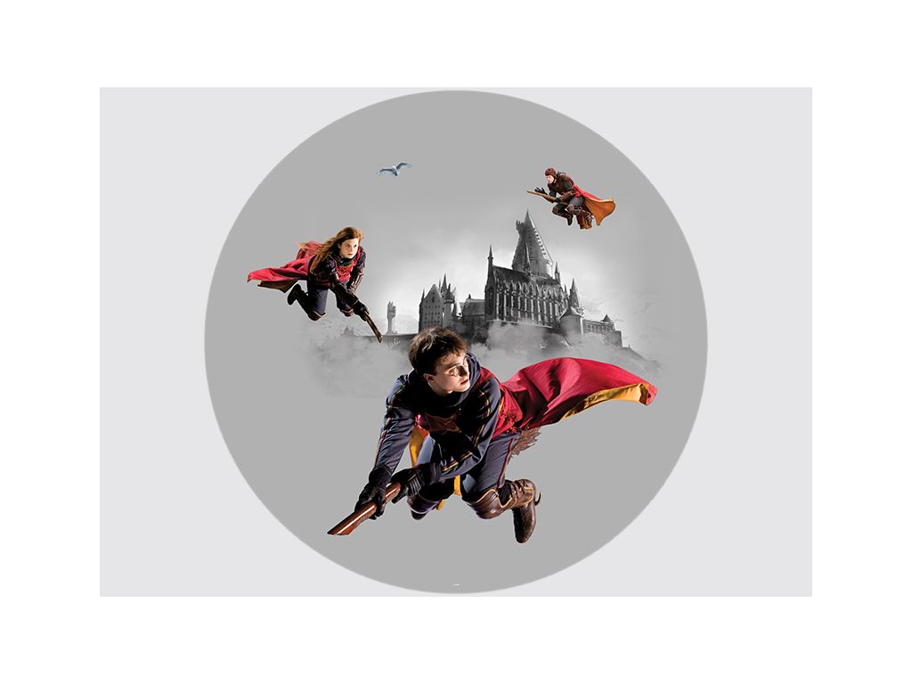 Dětská vliesová samolepící fototapeta AG Design CRD 990 Harry Potter 70 x 70 cm