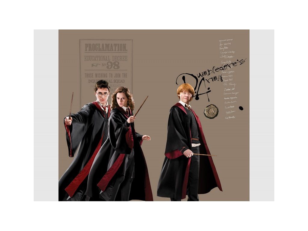 Dětské foto závěsy AG Design FCS XL 321 Harry Potter 180 x 160 cm, lehké zastínění
