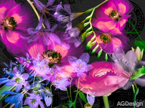 Fototapeta Fantastické květiny 360 x 255 cm