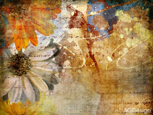 Fototapeta Malované květiny 360 x 255 cm