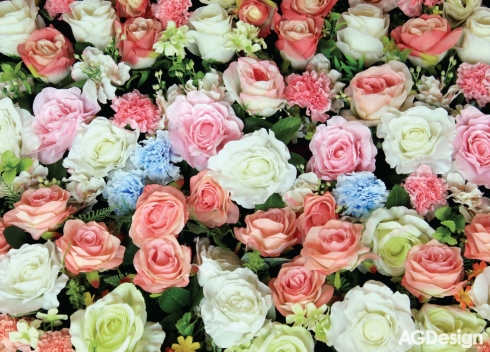 Fototapeta vliesová Barevné růže 160 x 110 cm