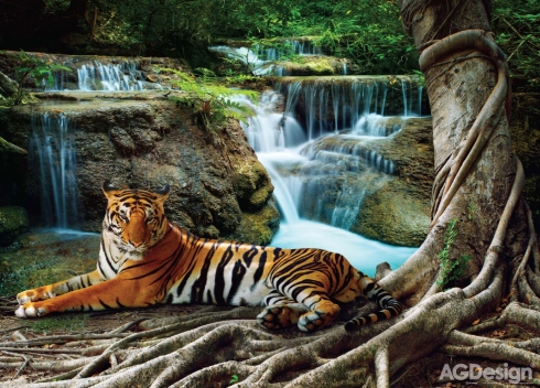 Fototapeta vliesová Tygr a vodopád 160 x 110 cm